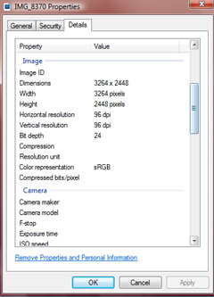 EXIF metadata embeds a variety of information in the coding of your digital photograph