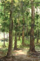 Color corrected paintings