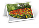 Vancouver Custom Greeting Cards