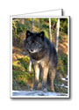 Vancouver Custom Greeting Cards