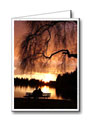 Vancouver Custom Greeting Cards