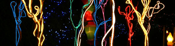 West end Downtown  Vancouver, Xmas Winter 
